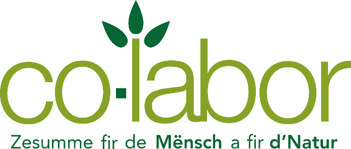 Logo partenaire Co-labor