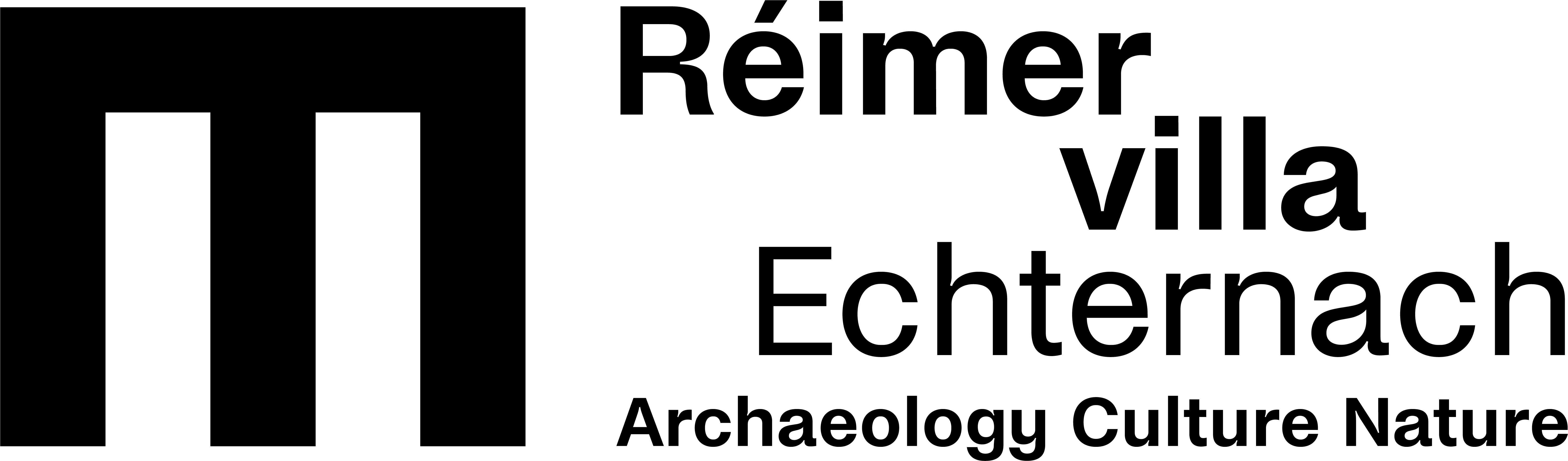 Partner-Logo 